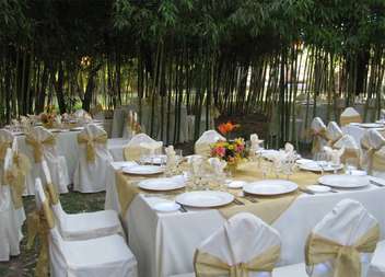 Matrimonio jardín bamboo